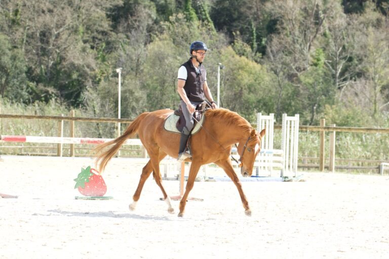 Killian à cheval, encolure étendue au trot