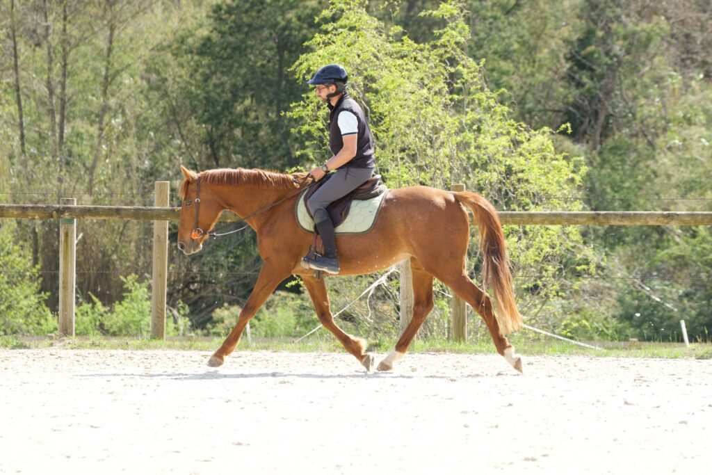 Killian au trot sur un cheval alezan