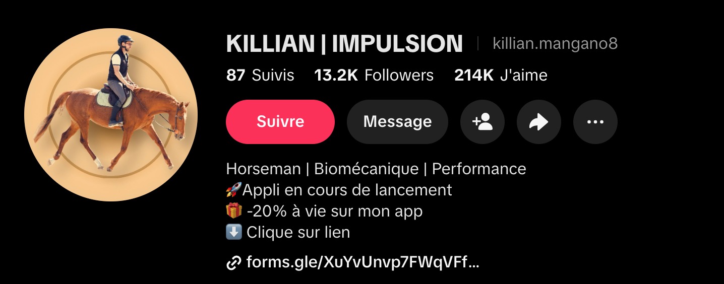 Capture du profil TikTok de Killian : 13,2 K followers, 214 K j'aime